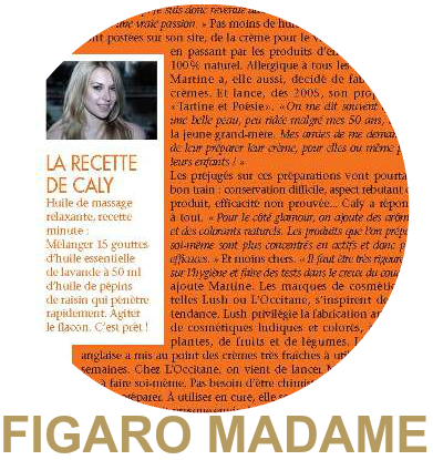 macaron-figaro-madame2